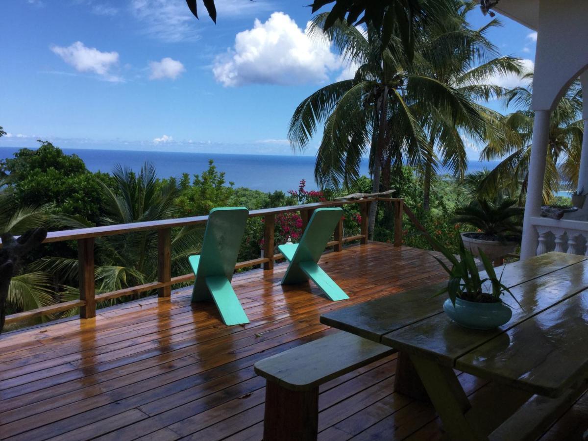 Appartement Fantastic Views At Friends à Port Antonio Extérieur photo